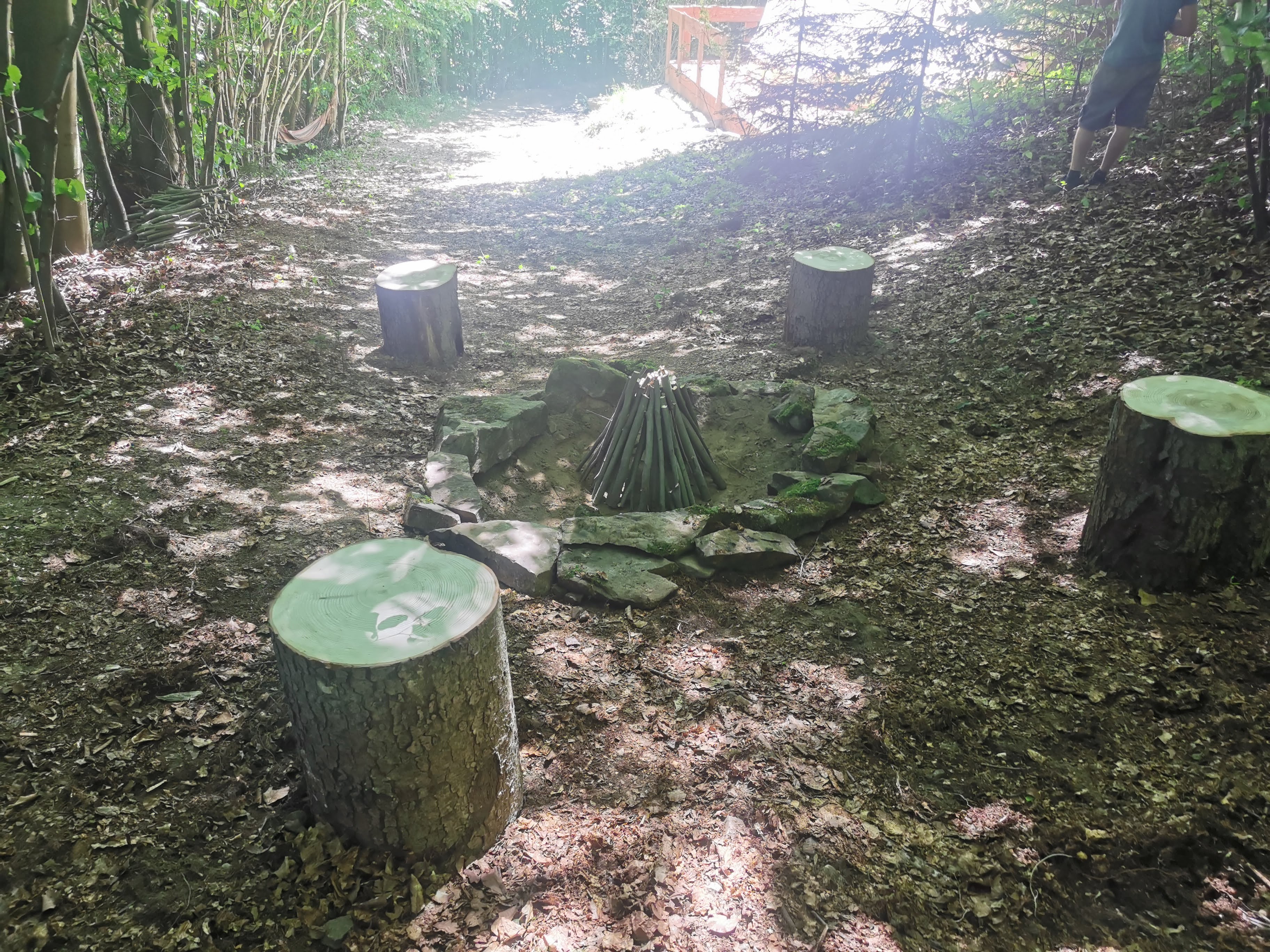 forest fire pit