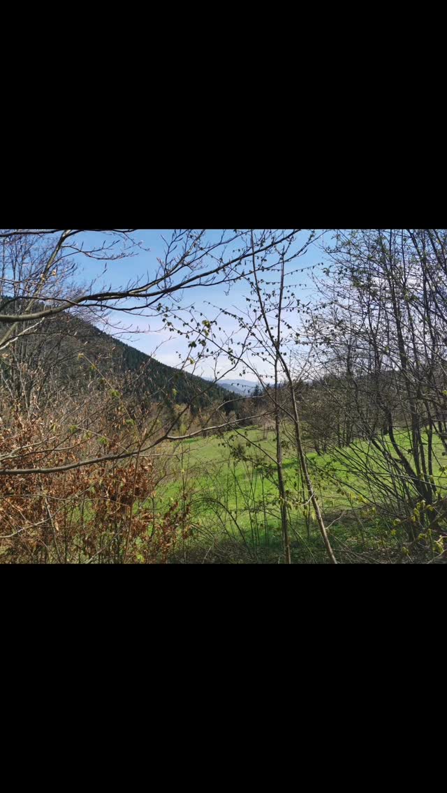 postcard-worthy view