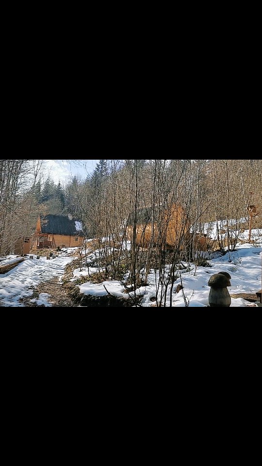 winter panorama of all properties