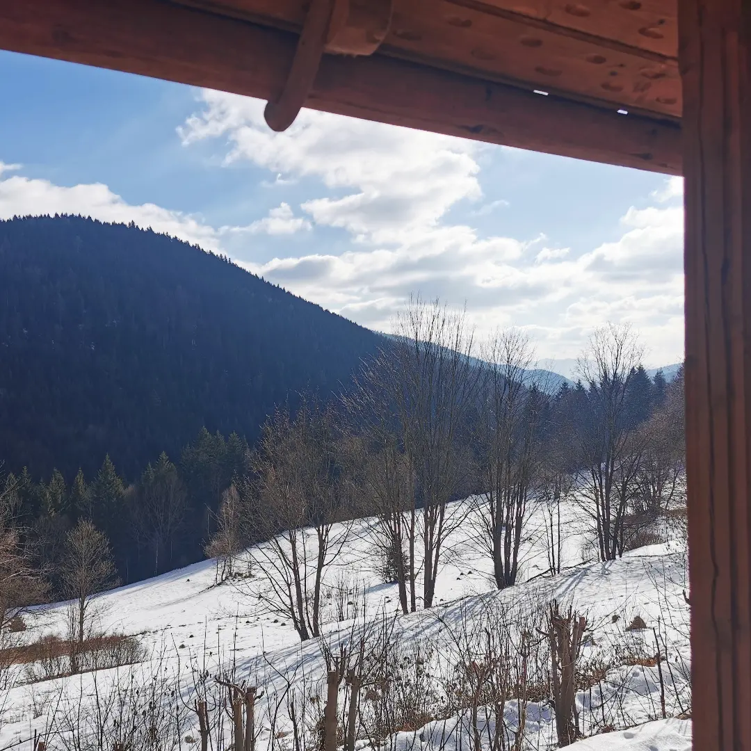 winter cabin view